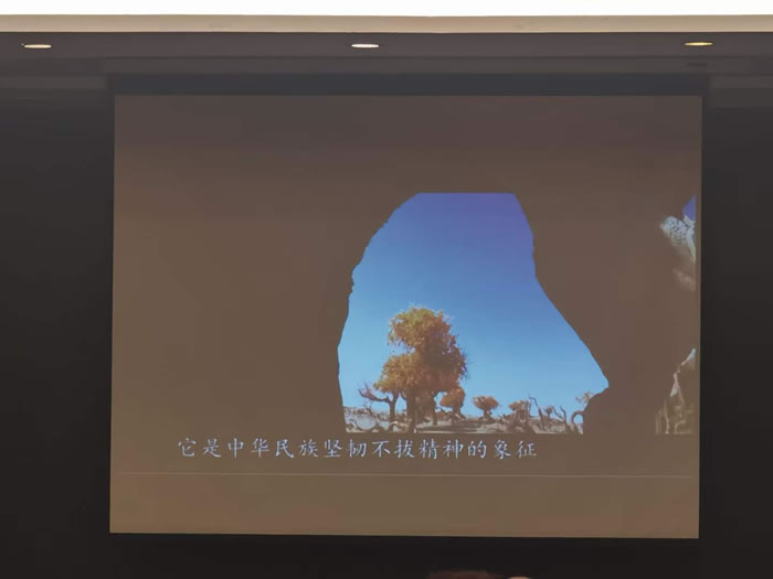 綿陽中旅行假日旅行社舉行胡楊林、南疆專列推薦會
